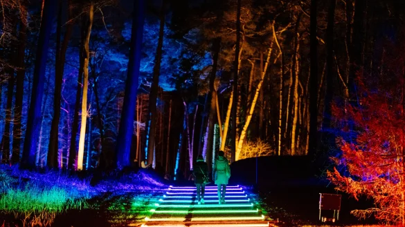 Illuminationen verwandeln das Gel&auml;nde in einen stimmungsvollen Zauberwald. - &copy; BESIM MAZHIQI