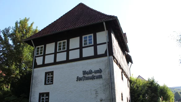 Im Wald- und Forstmuseum in Kalletal-Heidelbeck konnte nun eine Wohnung f&uuml;r eine ukrainische Gro&szlig;familie eingerichtet werden. - &copy; Archivfoto: Nadine Uphoff