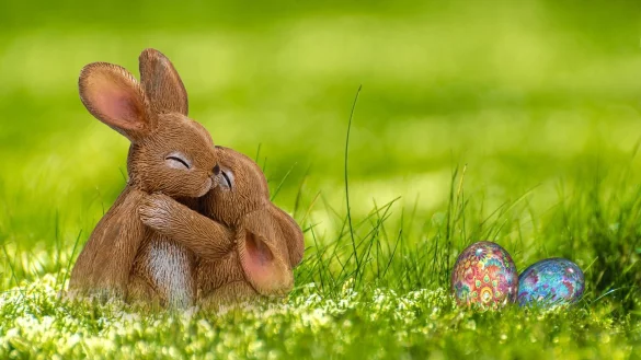 Der Osterhase will mit Freunden auf der Wiese am Freibad Schieder Eier verstecken. Das hat der Osterhase mit dem Freibadf&ouml;rderverein besprochen. - &copy; Symbolfoto Pixabay