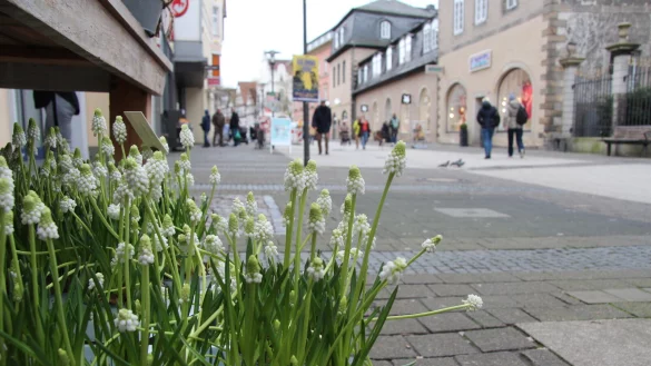 Nicht nur Blumen, sondern auch viele andere Programmpunkte sollen am ersten April-Wochenende in der Detmolder Innenstadt Lust auf den Fr&uuml;hling machen. - &copy; Jana Beckmann