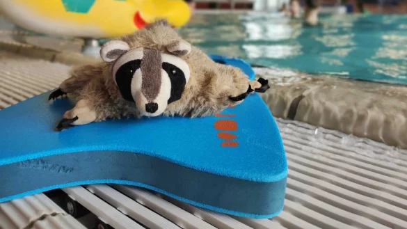 Der Waschb&auml;r Wolli ist verschwunden. - &copy; Britta Kuhlemann