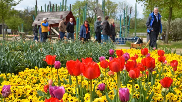 Die Entscheidung &uuml;ber eine m&ouml;gliche Bewerbung f&uuml;r die Landesgartenschau 2029 soll im Herbst fallen. - &copy; Birgit Vredenburg