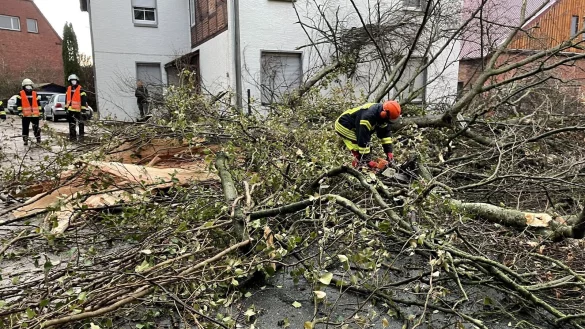 Im Zuge des Orkantiefs &bdquo;Ylenia&ldquo; im Februar 2022 ist die Freiwillige Feuerwehr Schieder-Schwalenberg zu verschiedenen Eins&auml;tzen ausger&uuml;ckt. - &copy; Freiwillige Feuerwehr Schieder-Schwalenberg
