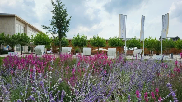 Der Kurpark in Bad Salzuflen bekommt auf Google gute Bewertungen. - &copy; Freya K&ouml;hring