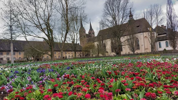 Der Klostergarten soll genauso aufw&auml;ndig bepflanzt und gestaltet bleiben wie zur Landesgartenschau. - &copy; Archivfoto: Michaela Wei&szlig;e