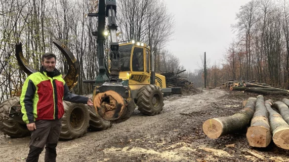 Revierleiter Christopher Kroos erl&auml;utert die F&auml;llarbeiten oberhalb der Stra&szlig;e Triftenberg in Leopoldstal. - &copy; Cordula Gr&ouml;ne