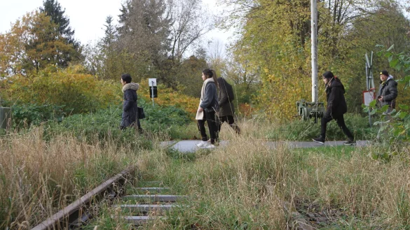 Die Begatal-Strecke bei Brake - ob hier jemals wieder regelmäßig Züge fahren werden, entscheidet sich erst in einigen Jahren. - © Martin Hostert
