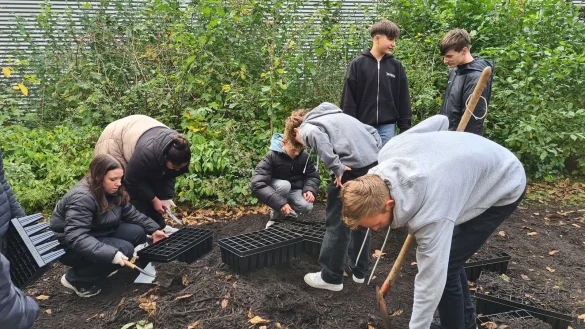 Die Sch&uuml;ler der Karla-Raveh-Gesamtschule bef&uuml;llen die Pflanzcontainer mit Erde. - &copy; Nadine Uphoff
