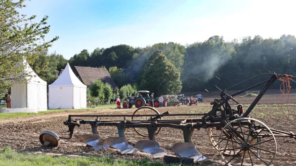 Das LWL-Freilichtmuseum konnte dieses Jahr noch mehr Besucher begrüßen als im bereits gut besuchten Vorjahr. - © Landschaftsverband Westfalen-Lippe