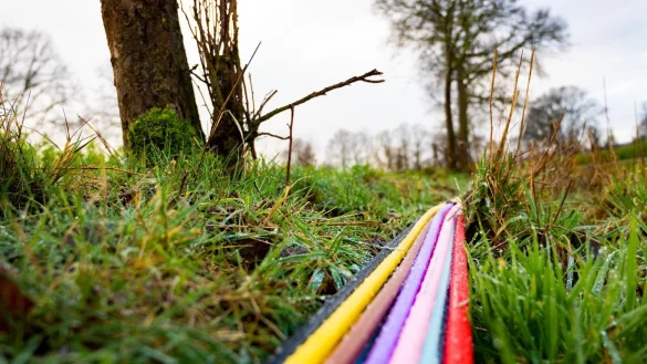 Auch im l&auml;ndlichen Raum ist schnelles Internet via Glasfaser sehr begeht. - &copy; pixabay/pronschee