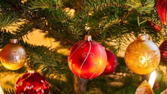 Die zentralen Senioren-Weihnachtsfeiern am Werreanger gibt es nicht mehr, aber das k&ouml;nnte sich &auml;ndern. Der Sozialausschuss sprach sich daf&uuml;r aus, Partner f&uuml;r die Ausrichtung zu suchen. - &copy; pixabay/distelAPPArath