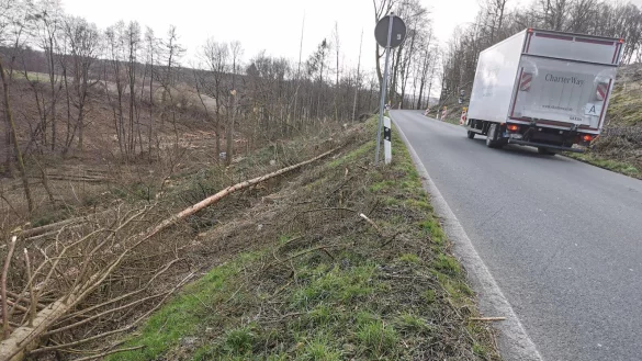 Seit der Baumf&auml;llarbeiten tut sich an der Sternberger Stra&szlig;e ein Abhang auf, der B&uuml;rgerinnen und B&uuml;rgern und auch der Politik Sorgen bereitet. - &copy; Archivfoto: Sylvia Frevert