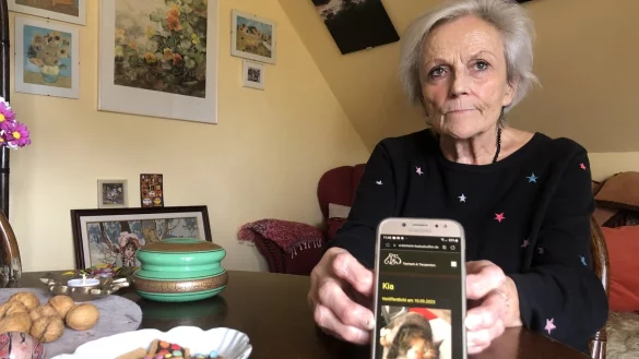 Heidemarie Helmis zeigt ein Bild von "Kia". Sie h&auml;tte die Katze aus dem Tierheim gerne zu sich nach Hause geholt. - &copy; Sven Kienscherf