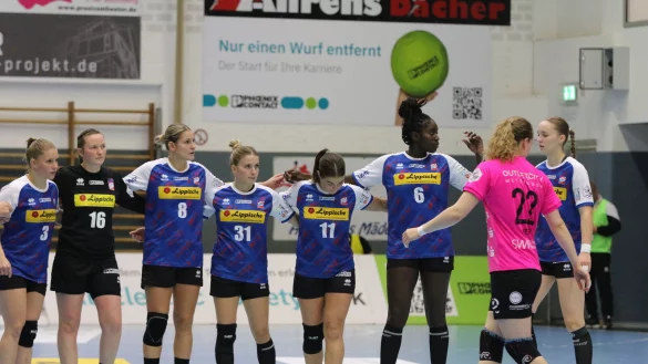 Beim Handball-Bundesligisten HSG Blomberg-Lippe sind die ersten Personalentscheidungen gefallen. Das Bild zeigt (von links) Laura R&uuml;ffieux, Melanie Veith, Lisa Frey, Alexia Hauf, Lisa Rajes, Laetitia Quist und Nieke K&uuml;hne. - &copy; Oliver K&ouml;nig