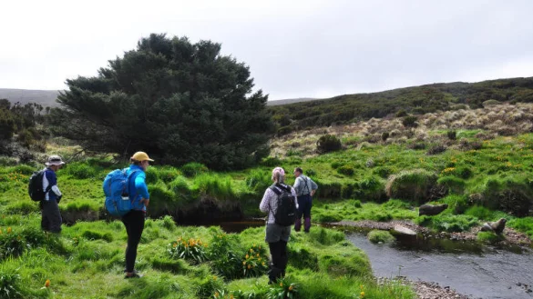 Neuseeland, hier Campbell Island, ist als Drehort der Serie "Die Hobbits" als Urlausbziel besonders beliebt. - © dpa