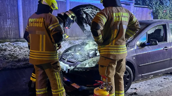 Die Feuerwehr &uuml;bernahm die Nachl&ouml;scharbeiten an dem Auto. - &copy; C.Rieks