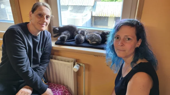 Nina Schneider, stellvertretende Leiterin des Tierheims Eichenhof (links) und Daniela Kl&ouml;pperpieper, stellvertretende Vorsitzende des Vereins Unsere H&auml;nde f&uuml;r viele Pfoten, zusammen mit f&uuml;nf geretteten Katzenkindern aus L&uuml;erdissen. - &copy; Freya K&ouml;hring