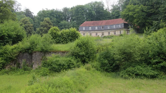 Unterhalb des Krummen Hauses hat sich einst ein Barockgarten befunden, der sich den Hang hinab bis zum Mausoleum zog. Die Terrassierung des Geländes ist noch zu erkennen. - © Jana Beckmann