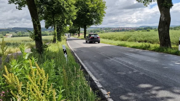 Die Selbecker Stra&szlig;e geh&ouml;rt seit kurzem der Stadt Barntrup. - &copy; Nadine Uphoff