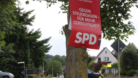 Plakate aller Art an B&auml;umen sind in Oerlinghausen nicht mehr erlaubt. Dieses Exemplar h&auml;ngt eine Woche nach der Europa-Wahl noch an der Detmolder Stra&szlig;e. Foto: Knut Dinter - &copy; Knut Dinter