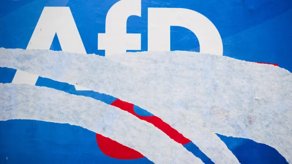 Die AfD k&auml;mpfte mit verschiedenen Aktionen vor der Europawahl auch in OWL um Stimmen. - &copy; Julian Stratenschulte