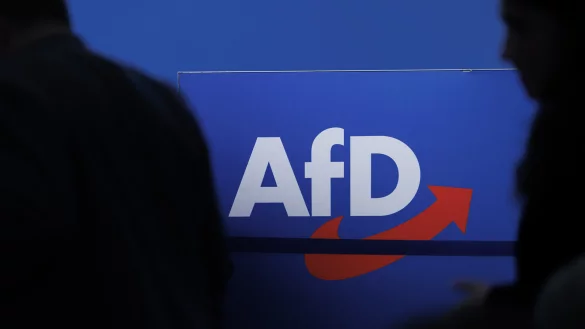 Die "Alternative f&uuml;r Deutschland" konnte bei der Europawahl Stimmgewinne verbuchen - auch in OWL. - &copy; Carsten Koall