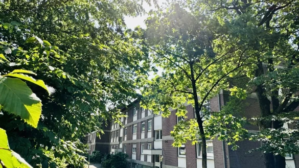 Bewohner der Senne-Siedlung trauen ihren Augen nicht: Die Stadtwerke drohen mit dem Abstellen des Trinkwassers. - © Stefan Becker