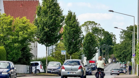 Anwohnern geht es auf der Siegfriedstraße zu gefährlich zu. Nicht alle Radfahrer nutzen dort den Radfahrstreifen so wie diese Verkehrsteilnehmerin. Viele fahren lieber gleich auf dem schmalen Bürgersteig. - © Raphael Bartling