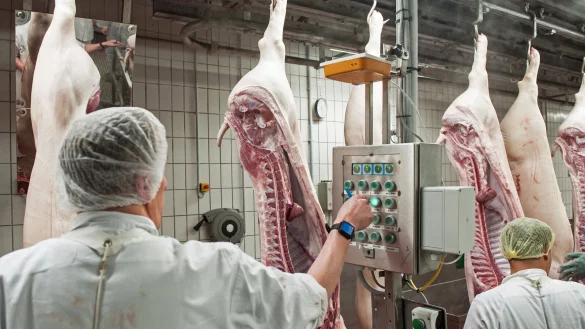 Die Arbeitsbedingungen in der Fleischindustrie haben sich durch Gesetzes&auml;nderungen verbessert. Andere Branchen setzen osteurop&auml;ischen Arbeitskr&auml;ften aktuell mehr zu. - &copy; dpa