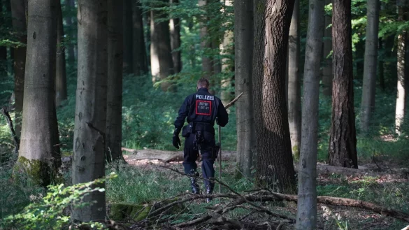Die Polizei durchk&auml;mmte den Wald bei Barntrup und Blomberg vergangene Woche mehrmals. - &copy; Freitag TV