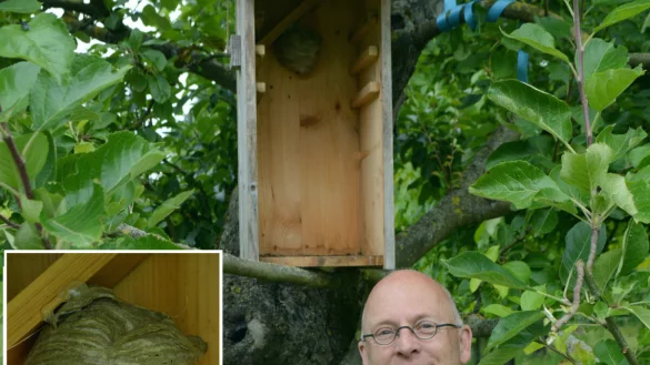 J&uuml;rgen Badtke am neuen Standort des Wespenvolkes. - &copy; BUND Lemgo