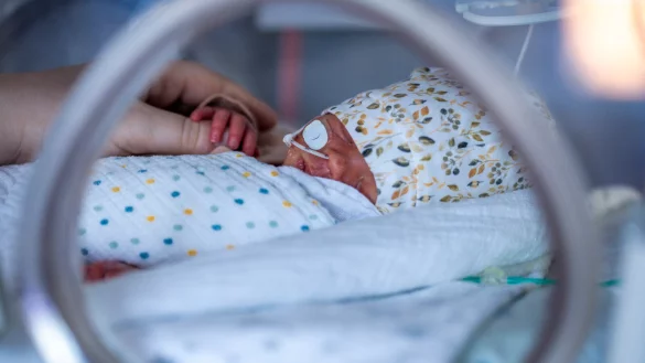 Extreme Frühchen sollen in OWL nach dem Willen des NRW-Gesundheitsministeriums künftig nicht mehr an fünf, sondern nur noch an drei Standorten versorgt werden dürfen. - © picture alliance/dpa