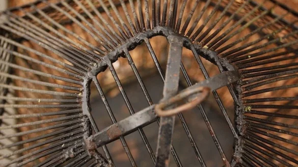 Bielefelds Tiersch&uuml;tzer waren entsetzt - eine Bielefelder Expertin ordnet den Fall jetzt ein. - &copy; NW