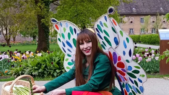 Auch nach der Landesgartenschau ist Elfe "Holli", die Botschafterin der LGS, weiterhin im Einsatz. Hier erntet sie den Spargel im Remtergarten für die Schlemmermeile am Weserufer. An diesem Wochenende, 7. bis 9. Juni, dreht sich im Huxarium Gartenpark alles um Spargel und Erdbeeren. - © Huxarium Gartenpark