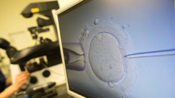 Immer mehr Paare sind zur Erf&uuml;llung ihres Kinderwunsch auf medizinische Hilfe angewiesen. Viele Betroffene k&ouml;nnen dank k&uuml;nstlicher Befruchtungen Familien gr&uuml;nden. - &copy; picture alliance