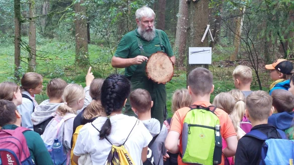 An der Station Forstwirtschaft erl&auml;utert J&ouml;rg Braunstein Grundsch&uuml;lern, wie man bei der Berechnung der Jahresringe eines Baumes vorgeht. - &copy; Karin Prignitz