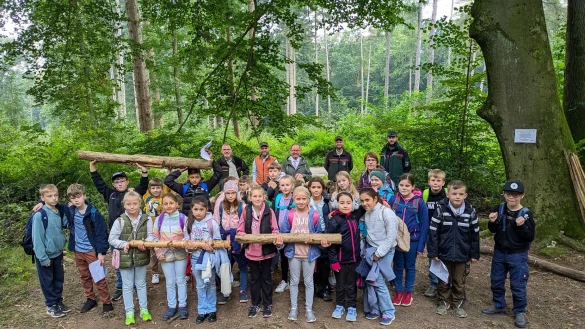Kinder der Klasse 4k der Oetternbach-Grundschule (Detmold-Kl&uuml;t) sind an der Station Holzstapeln angekommen. Ihnen schauen zu: (hintere Reige, von links) Holger-Karsten Raguse, Leiter des Regionalforstamtes Ostwestfalen-Lippe, Jan-Otto Hake (Leiter Forstabteilung Landesverband Lippe), J&ouml;rg D&uuml;ning-Gast (Landesverbandsvorsether) sowie Thomas Schulte und Eric Janhsen (beide: Landesbetrieb Wald und Holz NRW). - &copy; LVL