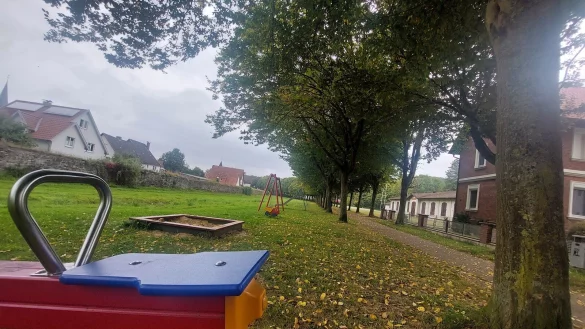 Die Aufwertung der Wallanlage wurde als eine der beiden Kernmaßnahmen für das neue ISEK identifiziert. So soll beispielsweise eine naturnahe Spielmöglichkeit für Kinder sowie kleine Rast- und Ruheräume geschaffen werden. - © Michaela Weiße