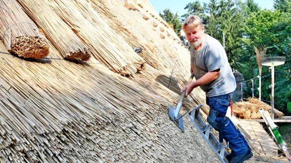 Reetdachdecker Wolfgang Thiel beim Decken des Germanischen Langhauses - &copy; Gunter Held