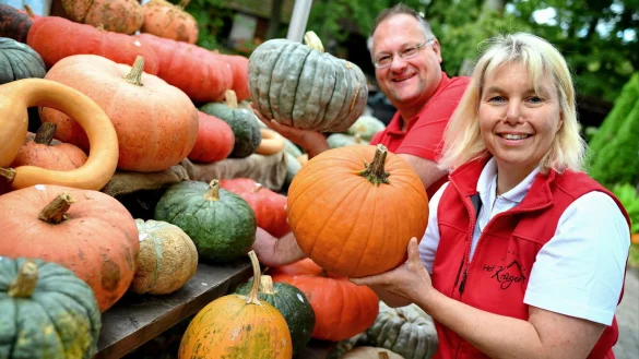 Mehr als 200 verschiedene K&uuml;rbissorten und passende Kochrezepte gibt es zur K&uuml;rbissaison bei Simone und Detlef Kr&uuml;ger auf ihrem Hof in Brackwede. - &copy; Archiv: Barbara Franke