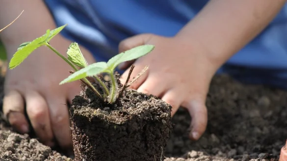 Die Umweltstiftung Lippe startet den Wettbewerb Kinder-G&auml;rten 2024. - &copy; Umweltstiftung Lippe