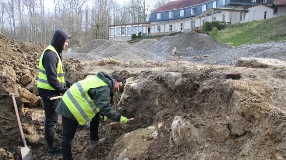 Mitarbeiter einer Firma f&uuml;r arch&auml;ologische Dienstleistungen legen eine massive Natursteinmauer auf dem Freilichtmuseumsgel&auml;nde frei. Sie bildete die Einfassung f&uuml;r eine barocke Gartenanlage. Bald soll im Friedrichstal wieder ein gr&uuml;ner Park entstehen. - &copy; Archivfoto: Jana Beckmann