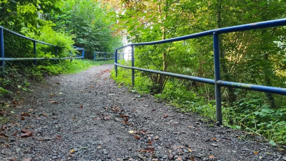 Bevor die Herbstferien zuende sind, will die Stadt den Weg aus dem Paradies hoch zum Weinberg noch in Schuss bringen. Denn so buckelig und ausgewaschen, mit einem ziemlich maroden Gelände, ist die Sicherheit für die Schulkinder nicht gewährleistet, meint die Stadt. - © Marianne Schwarzer