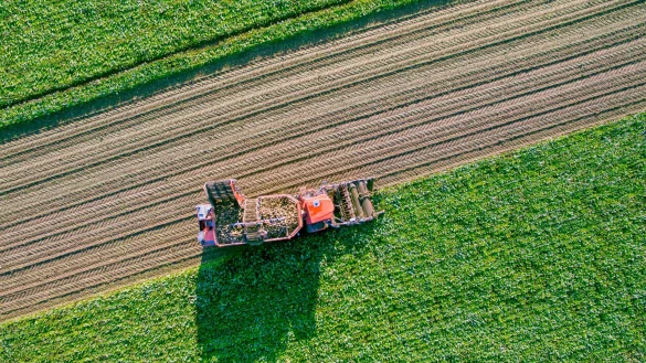 Die Lagenser Zuckerrübenkampagne läuft. - © Pfeifer & Langen