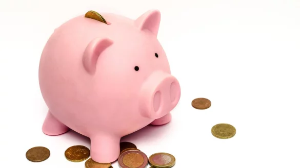 Um den Haushalt der Gemeinde Schlangen ist es nicht gut bestellt. - &copy; pexels/skitterphoto