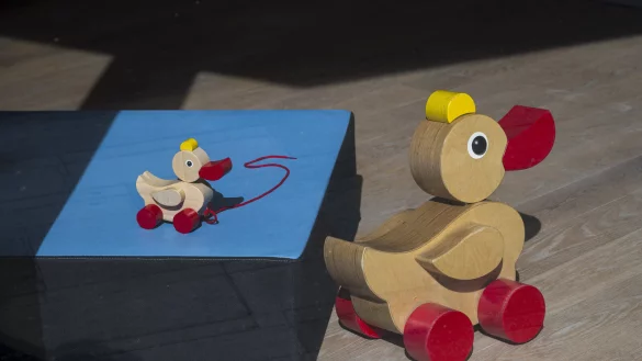 Im Schaufenster der Haba Familygroup stehen zwei Enten aus Holz. Der Spielzeughersteller Haba meldet Insolvenz in Eigenregie an. - © Daniel Vogl/dpa