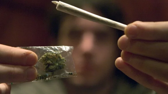 Die Cannabis-Fans aus Bielefeld warten darauf, ihre eigene Ware anbauen und konsumieren zu k&ouml;nnen. - &copy; dpa