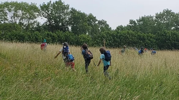 Bei den Veranstaltungen des Rolfschen Hofes k&ouml;nnen Schulkinder und Erwachse Natur und Umweltschutz erfahren. - &copy; Susanne Haferbeck