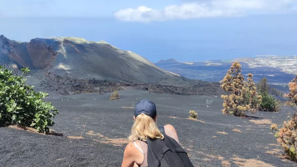 Nach dem Vulkanausbruch ist das Gebiet eine Landschaft der Kontraste: dunkelschwarze Asche, aus der hellgr&uuml;ne Kiefern sprie&szlig;en, dazwischen blauer Himmel. - &copy; Privat