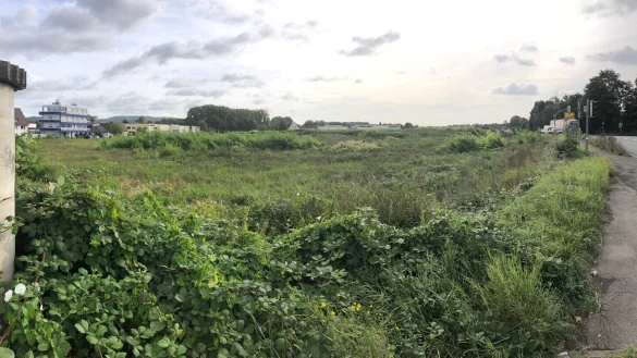 F&uuml;r das Werler Feld an der B 239 gibt es neue Pl&auml;ne. - &copy; Thomas Reineke